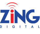 Zing Digital: A Dish TV Product for Regional Content